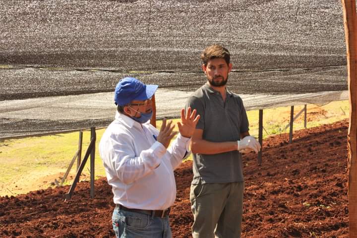 Biofábrica capacita a productores de jengibre en el uso de Bioinsumos